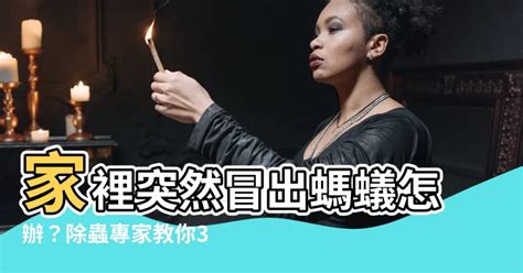 突然有很多螞蟻|家裡有螞蟻怎麼辦？專家告訴你5招如何消滅螞蟻大軍。